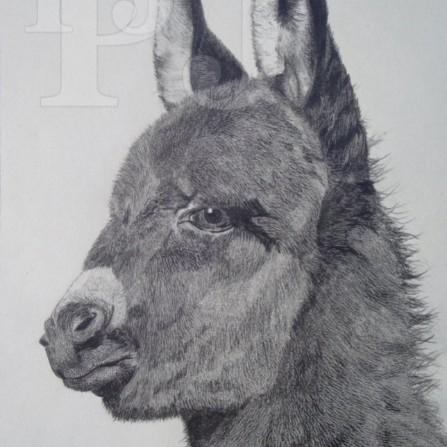 black and white lifelike drawing of cute donkey jigsaw puzzle (Creator Uploaded)