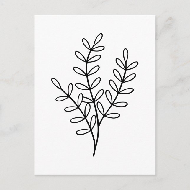 Black and White line art delicate leaves Postcard (Front)