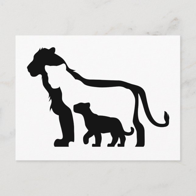 Black and White Lions Postcard (Front)