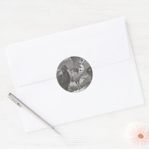 Black and White Llama Alpaca Andes Animal Art Classic Round Sticker