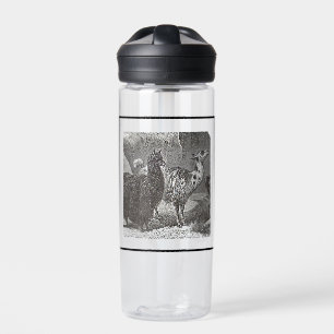 Black and White Llama Alpaca Andes Animal Art Water Bottle