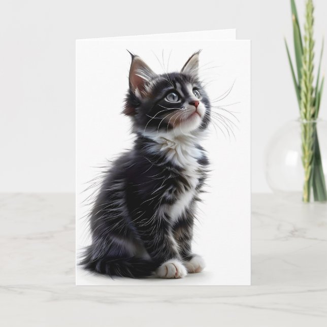 Black and White Long-Hair Cat Blank Greeting Card (Front)