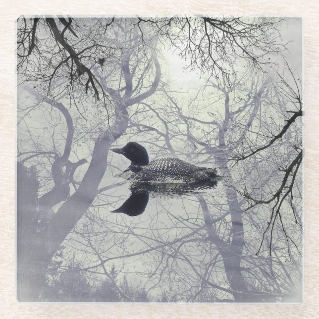 Black and white loon on a lake glass coaster (Front)