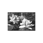 Black and White Lotus Flowers canvas print