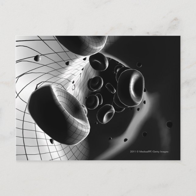 Black and white magnification of blood cells postcard (Front)