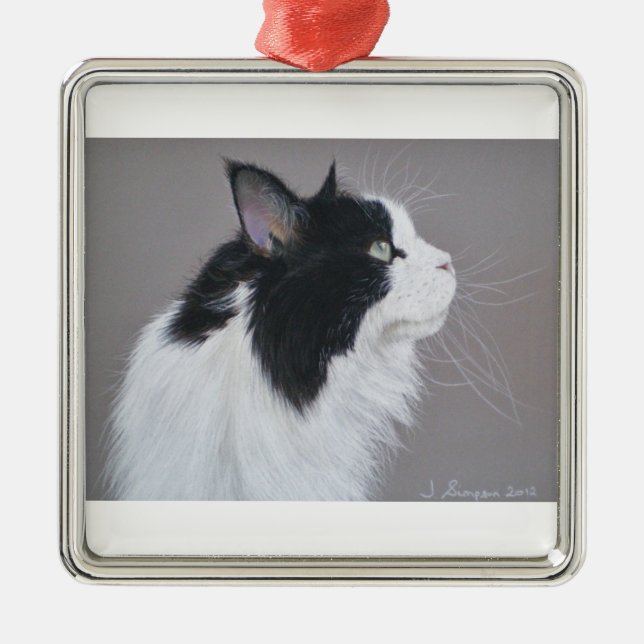 Black and White Maine Coon cat. Metal Ornament (Front)