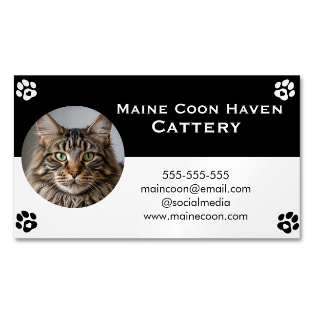 Black and White Maine Coon Customizable  Magnetic Business Card (Front)