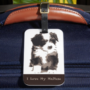 Black and White Maltese Puppy Dog Luggage Tag