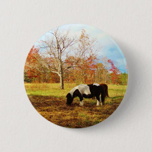 Black and White Miniature Pony / Horse 6 Cm Round Badge