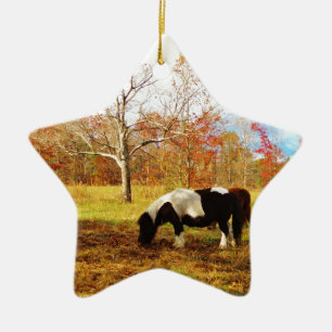 Black and White Miniature Pony / Horse Ceramic Tree Decoration