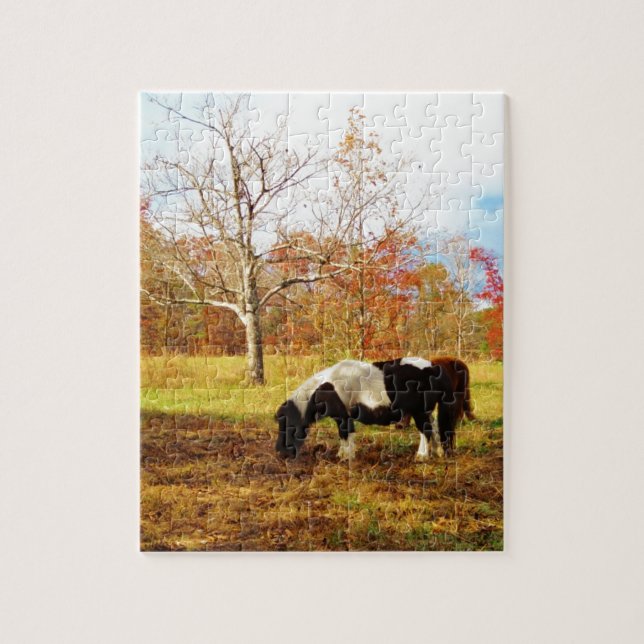 Black and White Miniature Pony / Horse Jigsaw Puzzle (Vertical)