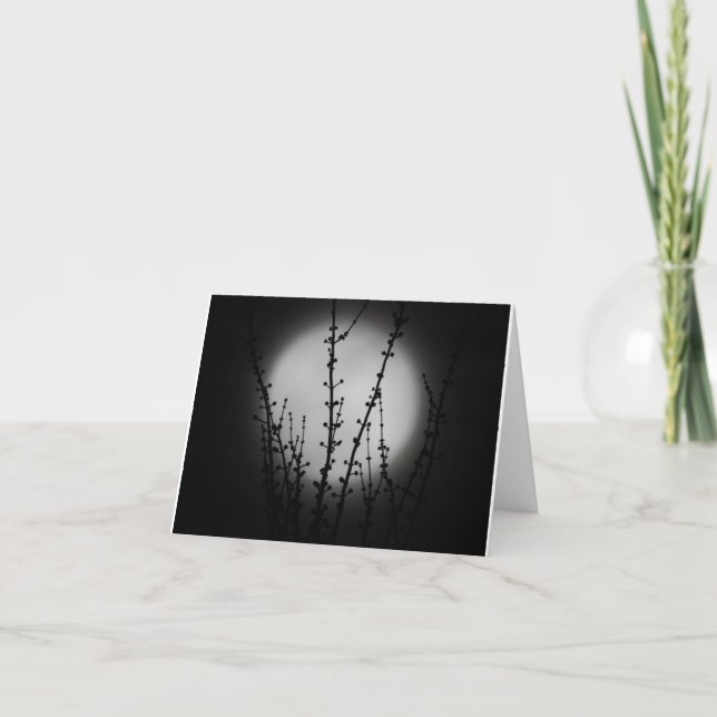 Black and White Moon note cards (Front)