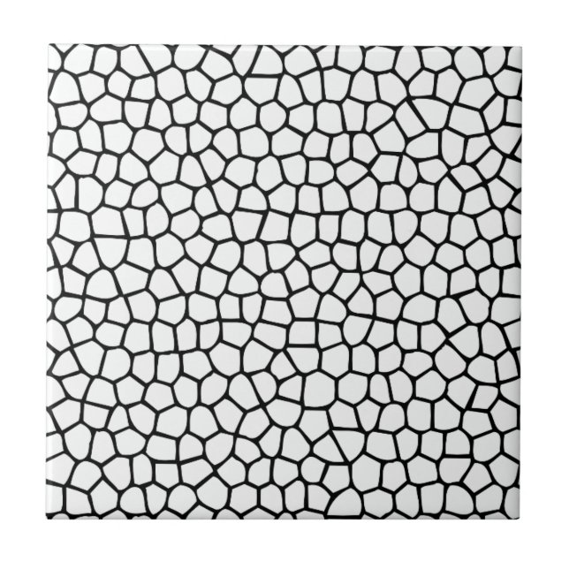 Black and white Mosaic pattern Ceramic Tile (Front)
