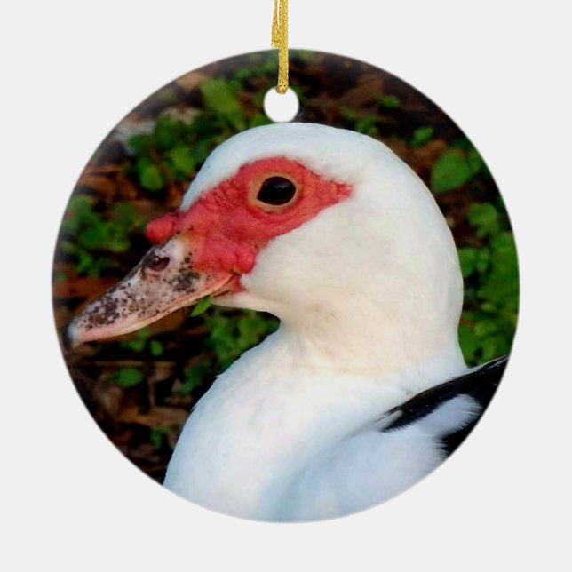 Black and White Muscovy Duck Hen Ceramic Ornament (Back)