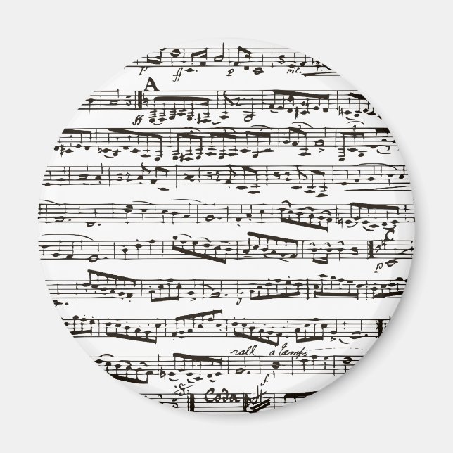 Black and white musical notes magnet (Front)