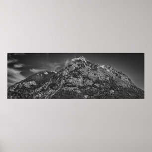 Black and white nahuel huapi park landscape poster