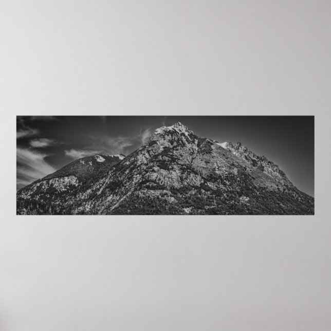 Black and white nahuel huapi park landscape poster (Front)