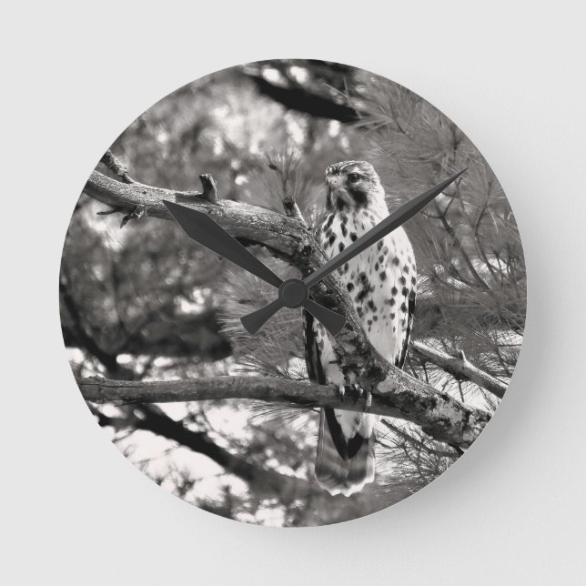 Black and White Nature Red Shouldered Hawk - Round Clock (Front)