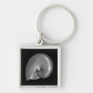Black and White Nautilus Shell Key Ring