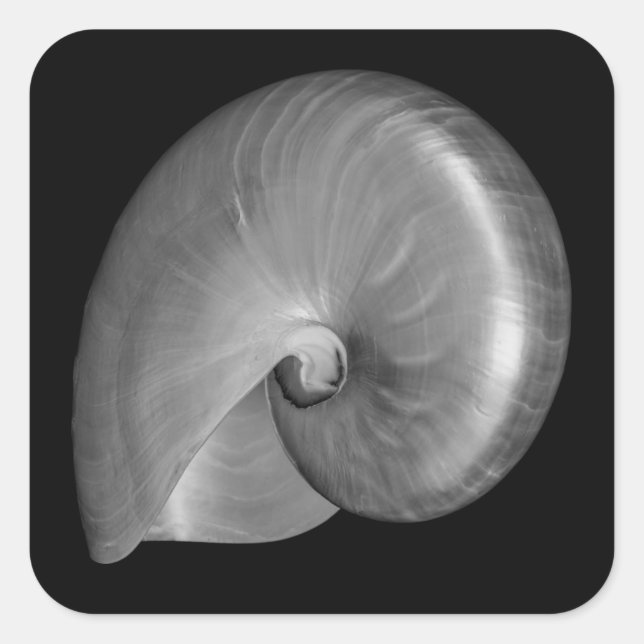 Black and White Nautilus Shell Square Sticker (Front)