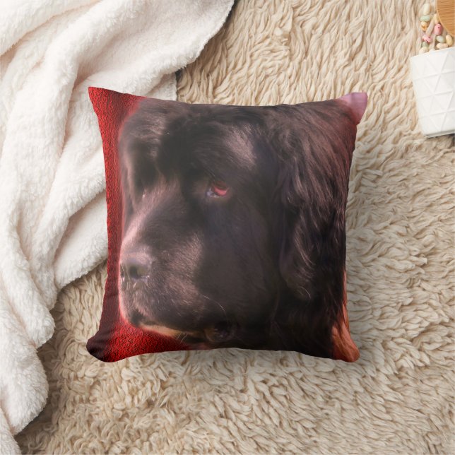 Black And White Newfoundland Dog Face   Cushion (Blanket)