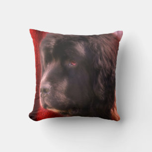 Black And White Newfoundland Dog Face   Cushion