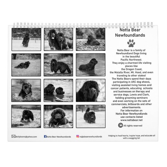 Black and white newfoundland photography calendar (Back)