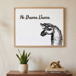 Black and White No Drama Llama Line Art Drawing Poster