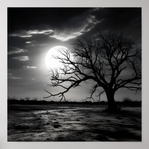 Black and white noir photo moon landscape poster