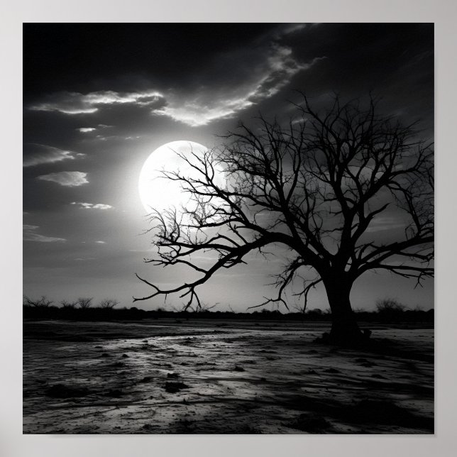 Black and white noir photo moon landscape poster (Front)