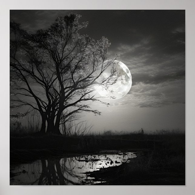 Black and white noir photo moon landscape Poster (Front)