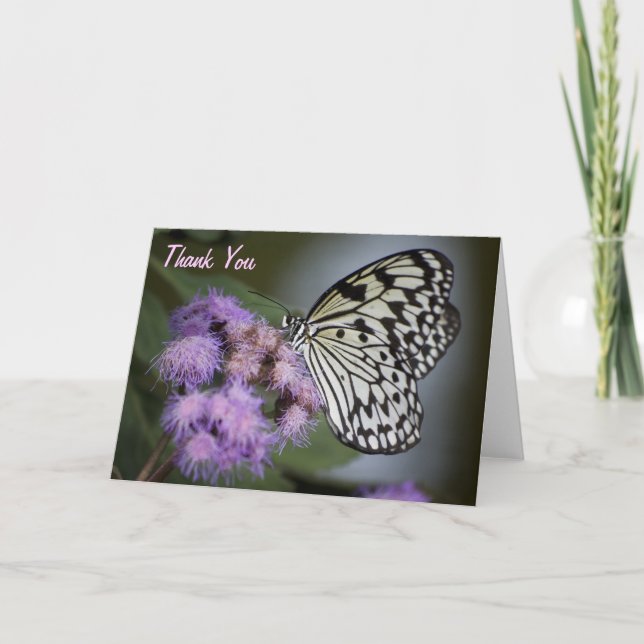Black and White Nymph Butterfly Thank You Card (Front)