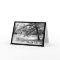 Black and White Oak Tree Thank You