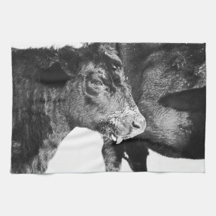 Black and White on Angus Cattle Kitchen Towel