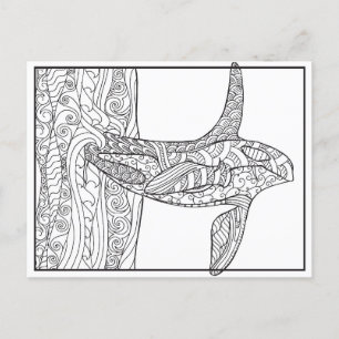 Black and White - Orca Colouring Postcard