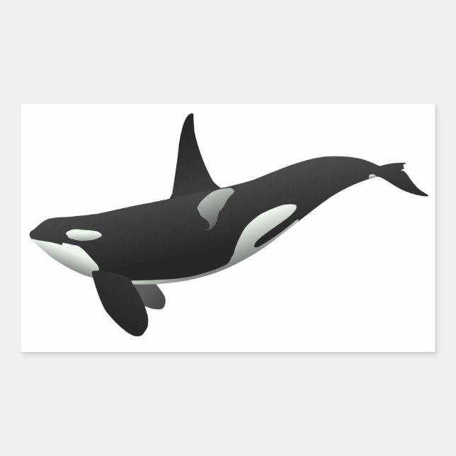 Black and White Orca Killer Whale Rectangular Sticker (Front)