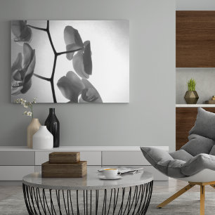 Black and White Orchid Flowers on the Stem Poster