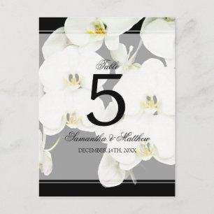 Black and White Orchid Wedding Table Number Postcard