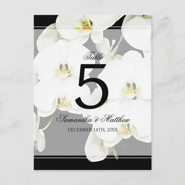 Black and White Orchid Wedding Table Number Postcard (Front)