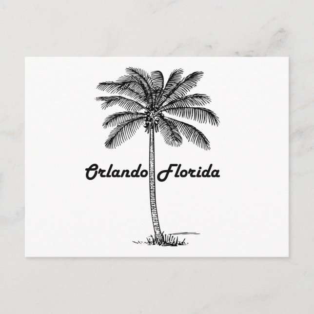Black and White Orlando & Palm design Postcard (Front)