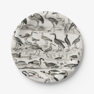 Black and white Ornithology Bird Collection Paper Plate