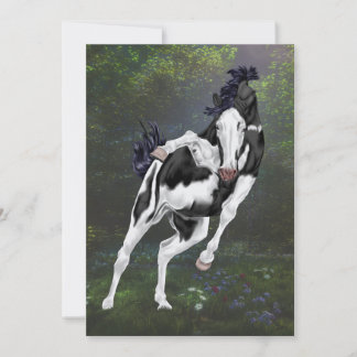 Black and White Overo Paint Horse Print