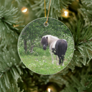 Black and White Paint Pony in Grass and Flowers Ceramic Ornament
