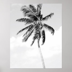 Black and white palm tree beach photo poster