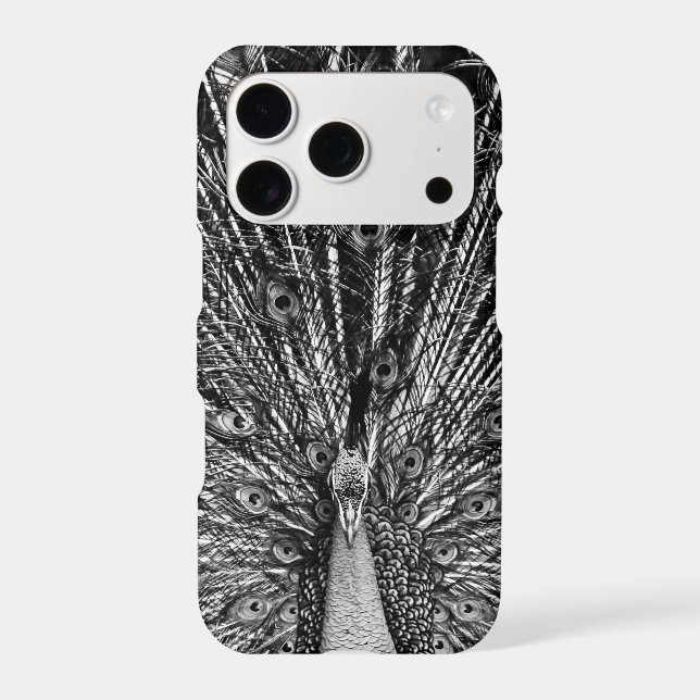Black and White Peacock (Back)