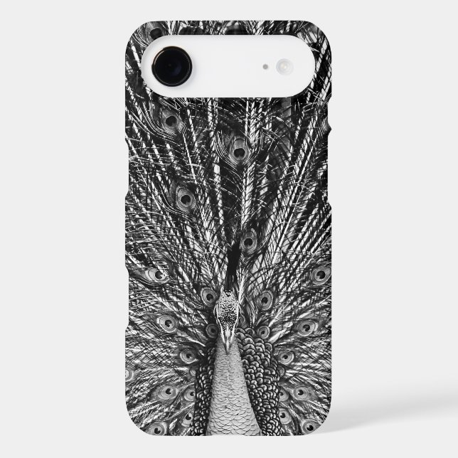 Black and White Peacock (Back)