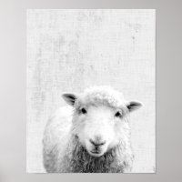 Black and White Peekaboo Sheep Minimalist Nursery