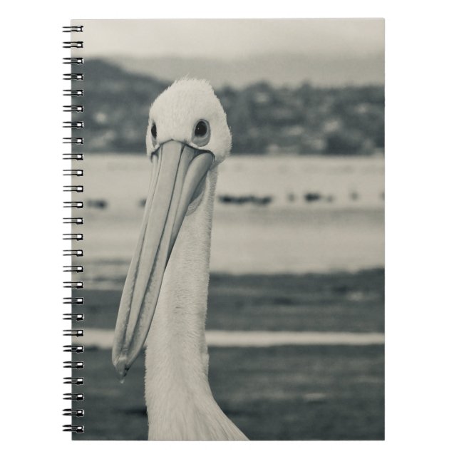 Black and White Pelican Photograph Notebook (Front)