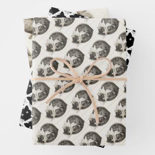 Black and white pencil drawing of a sleeping cat wrapping paper sheet