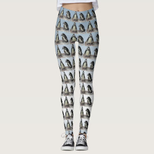 Black and White Penguin Birds on Blue Leggings